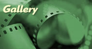galleryPromo.jpg