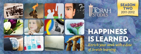 torah studies